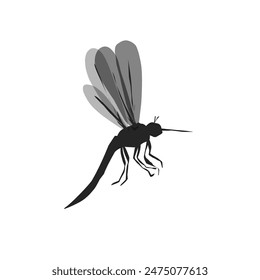 Vector illustration of dengue fever mosquito