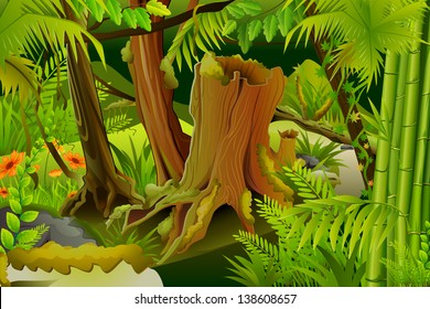 vector illustration of dense trees in mystic jungle