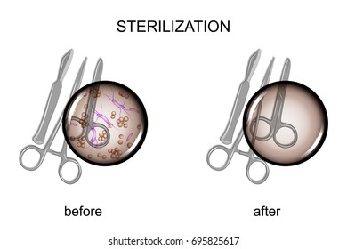 vector illustration of dental tools before and after sterilization
