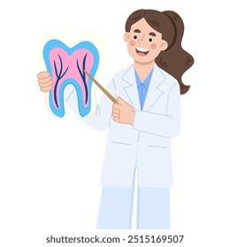 Ilustração vetorial do dentista explicando sobre os dentes