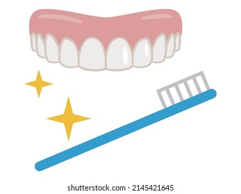 Vector illustration of dentures and toothbrush