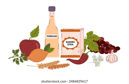 Vector illustration depicting baking soda with vinegar and natural ingredients: lemon, garlic, pepper, malt, apple and grapes. Ideal for menu and kitchen themed designs. Isolated background.