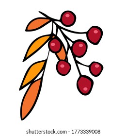 Vektorgrafik mit einem Beerenzweig, handgezeichnet im Doodle-Stil. Design für die Dekoration eines Rezeptes, Menü, Buchseite, Farbbuch, Karte, Einladung.