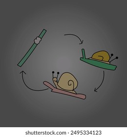 A vector illustration depicting the complete life cycle of a golden apple snail. From a tiny egg to a fully grown adult, the illustration showcases the different stages of the snail's development