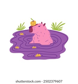 Vector illustration depicting a cute and funny capybara sitting in the water with a tangerine on its nose. A charming drawing showing this smiling rodent