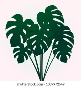 vector illustration depicting a growing monstera bush on a gentle pink background