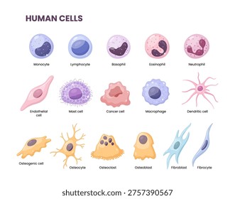 Vector illustration depicting human cells.
