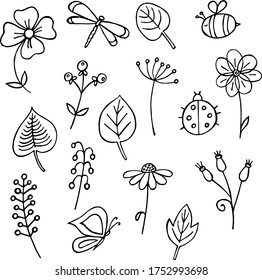 Vektorgrafik mit Insekten, Blumen, Blättern und Ästen mit Beeren im Doodle-Stil, schwarz-weiß auf weißem Hintergrund