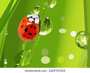 vector illustration depicting a ladybug on the grass and dew drops for prints on postcards, banners, covers and for interior design and creating other illustrations in eco style