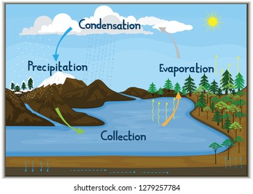 1,697 Water cycle diagram Images, Stock Photos & Vectors | Shutterstock