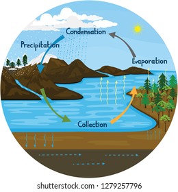 Vector Illustration Depicting Phenomenon Water Cycle Stock Vector ...