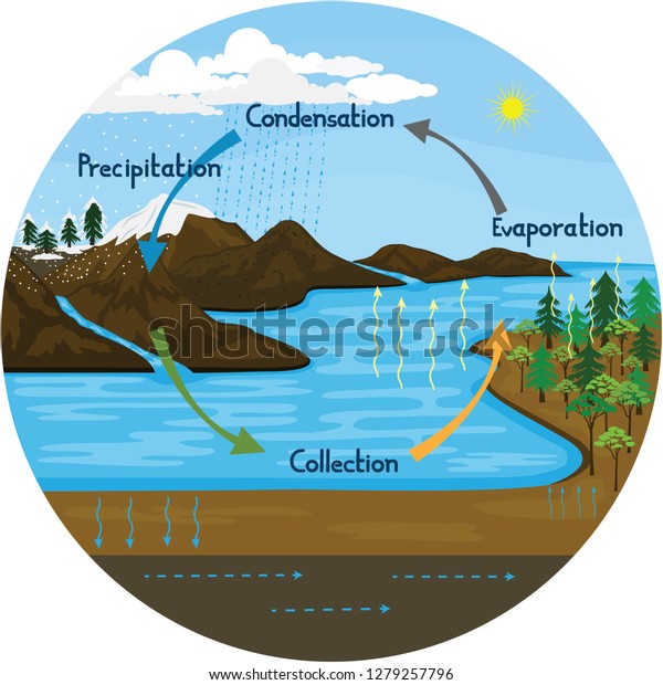 Vector Illustration Depicting Phenomenon Water Cycle Stock Vector ...