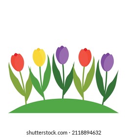 Vector illustration depicting tulips in a flower bed. Clip-art on a transparent background.