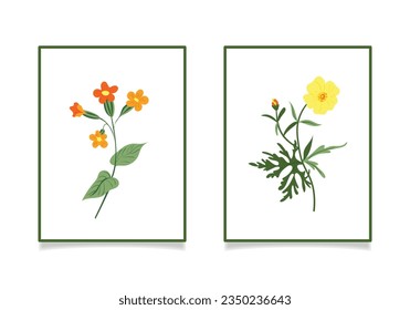 Vector illustration depicting wild flowers. lungwort and buttercup