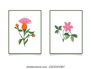 Vector illustration depicting wild flowers. Anemone and cornflower