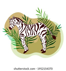 Vector illustration depicting a zebra on a beige background with palm leaves.