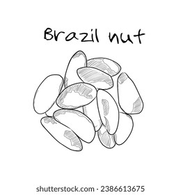 Vektorgrafik-Design von brasilianischen Nüssen, geeignet für Lebensmittelverpackungsprodukte, Aufkleber, Vorlagen, Sammlungen 