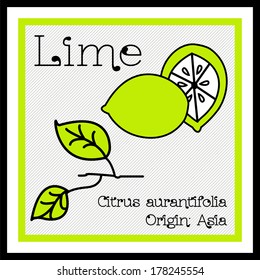Vector Illustration of Descriptive Flat Lime Icon