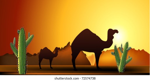 vector illustration of desert
