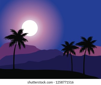 vector illustration of desert night background. palms, sunset nature background. 