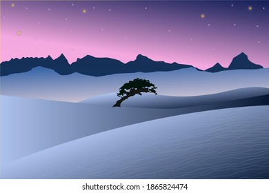 vector illustration of desert at night. palm tree, nature background. Vector illustration