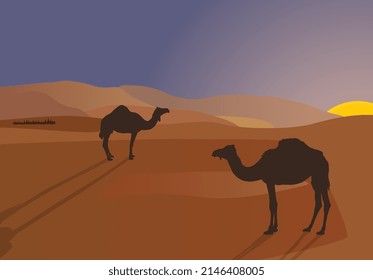 vector illustration of desert scene art