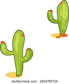 vector illustration desert  two cactus
