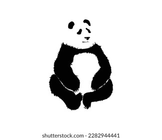 vector illustration design of an animal named panda originating from China which consists of black and white colors that are seen sitting while crossing its legs