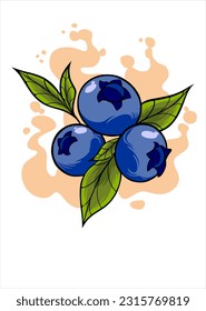 vector illustration design of blueberries with some leaves