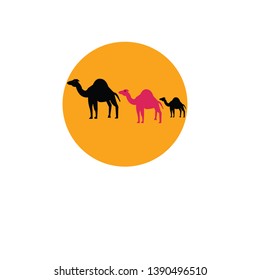 vector illustration design camel icon