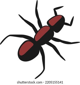Vector Illustration design concept
icon of ant bug