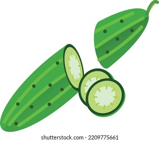 Vector Illustration design concept
icon of cucumber 