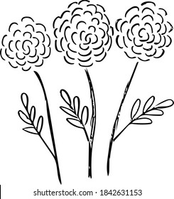 Vector illustration design Doodle three handmade roses for Valentine's day greeting cards, weddings, as well as logos and posters.