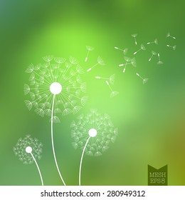 Vector illustration for design. Ecology label. Eco design. Life green. Dandelion seeds. Blurred background. Summer blurred background. Template for poster. EPS 8.