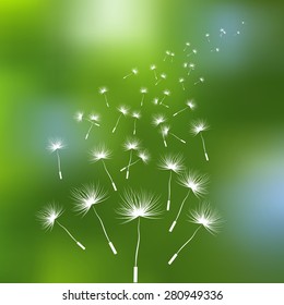 Vector illustration for design. Ecology label. Eco design. Life green. Dandelion seeds. Blurred background. Summer blurred background. Template for poster. EPS 8.