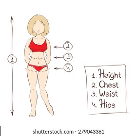 Vector illustration, design element -- women's clothing sizes