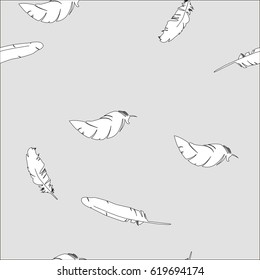 vector illustration, design feathers