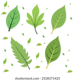 Vector illustration design of green leaf icon, green leaf icon flat design
