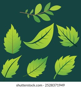 Diseño de la Ilustración vectorial del icono verde de la hoja, color verde del gradiente del icono verde de la hoja