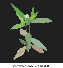 Diseño de Ilustración vectorial de planta verde con pétalos de flor de Pequeña floración.