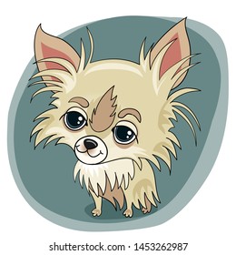 Vector illustration for design, greeting card. Little cute fluffy chihuahua, puppy, dog on an abstract background.