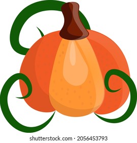 vector illustration design for halloween