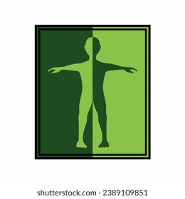 Vector illustration design of human body anatomy in a standing pose in a combination of dark green and light green
