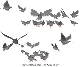 vector illustration design image of a collection of doves flying in the sky looking for food