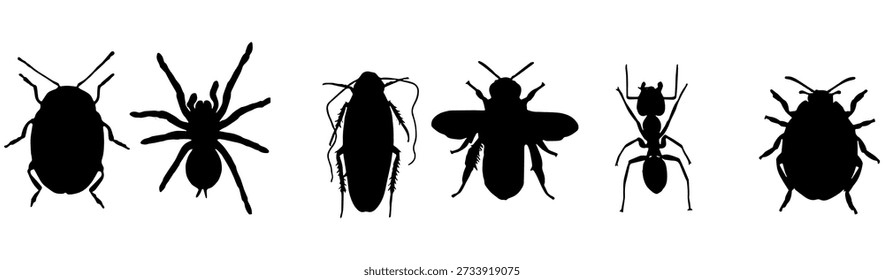 Design de ilustração vetorial de silhuetas de coleções de insetos e aranhas