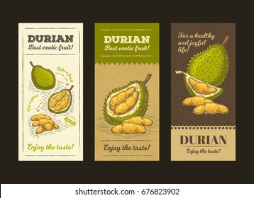 Vector illustration in design packing for durian fruit, template label, moc up in style engraving