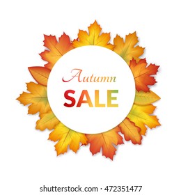 vector illustration. The design of the poster autumn sales. Yellow, orange leaves, frame for text.
