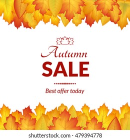 vector illustration. The design of the poster autumn sales. Yellow, orange leaves on a white background, frame for text.