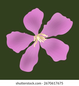 Diseño de Ilustración vectorial de una flor púrpura con cinco pétalos en flor.