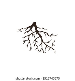 Vector Illustration : Design of Root